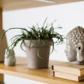 木造住宅の普及とその耐久性の実態