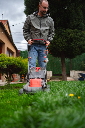 剪定・刈込作業の年間スケジュールとポイント解説